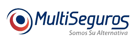 multiseguros-nobg